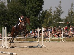 IMG_0927_web